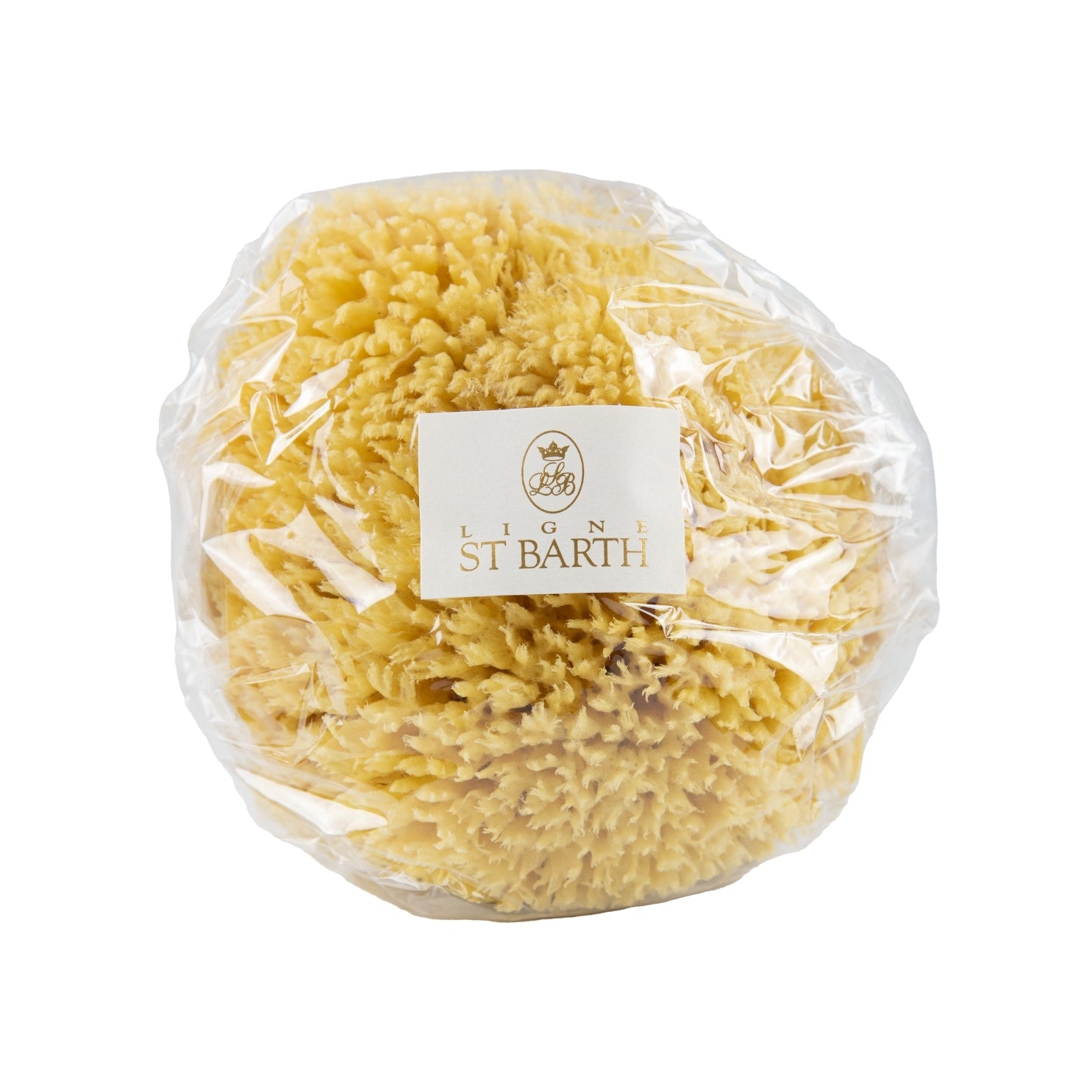 St Barth Natural Sponge 15-16 CM