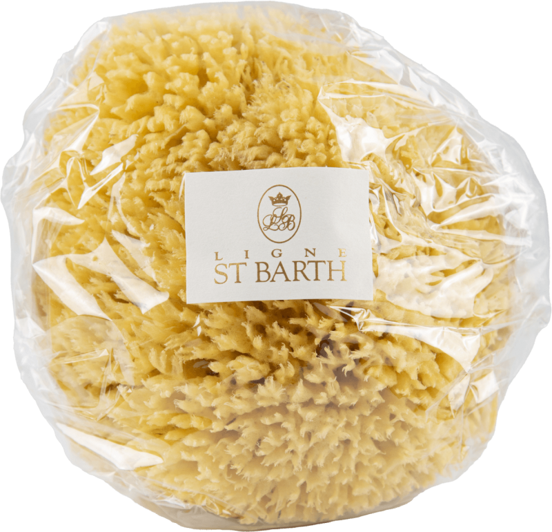 St Barth Natural Sponge 15-16 CM
