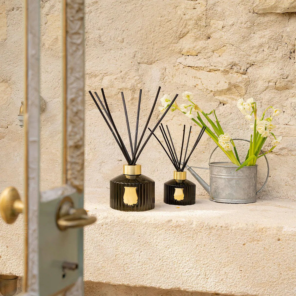 Trudon The Large Diffuser Ernesto - 1000 ML