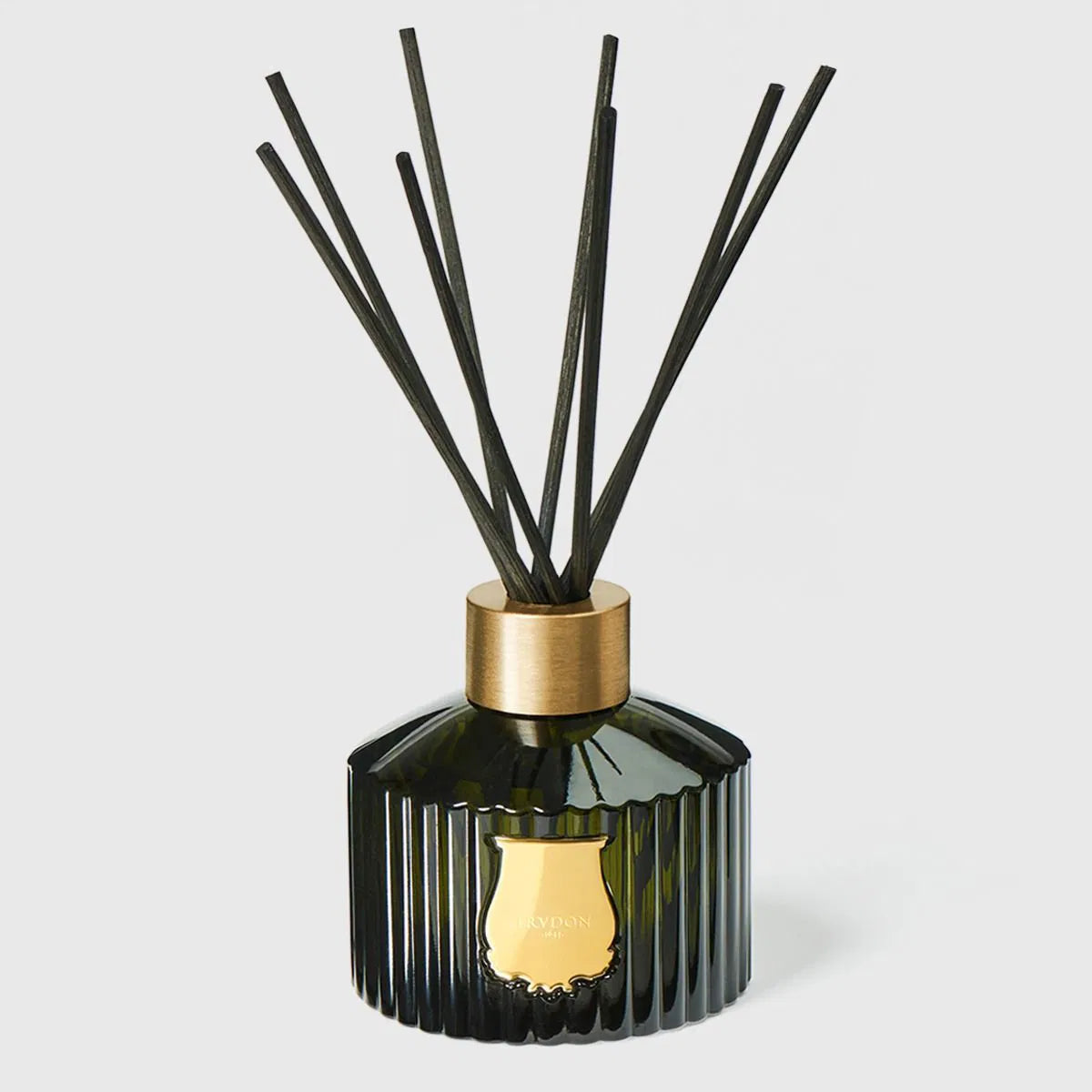Trudon The Large Diffuser Ernesto - 1000 ML