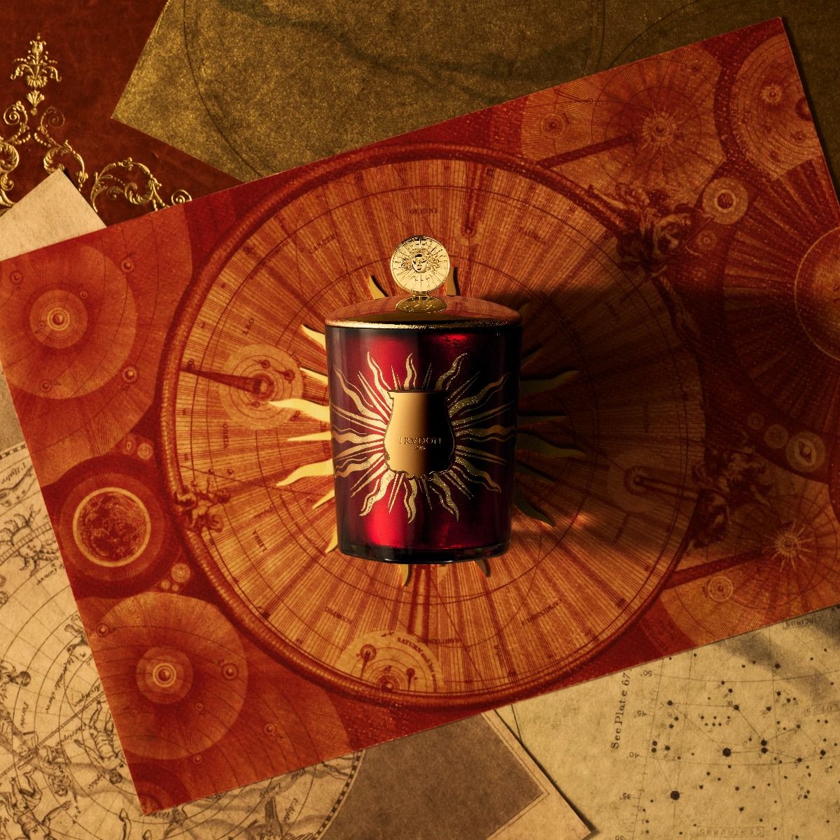 Trudon Topper Solis Rex